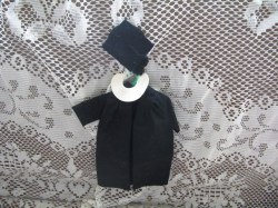 barbie grad gown